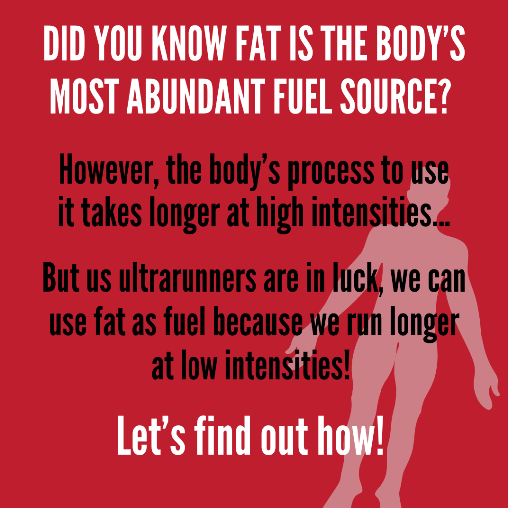 fat is the body's most abundant fuel source