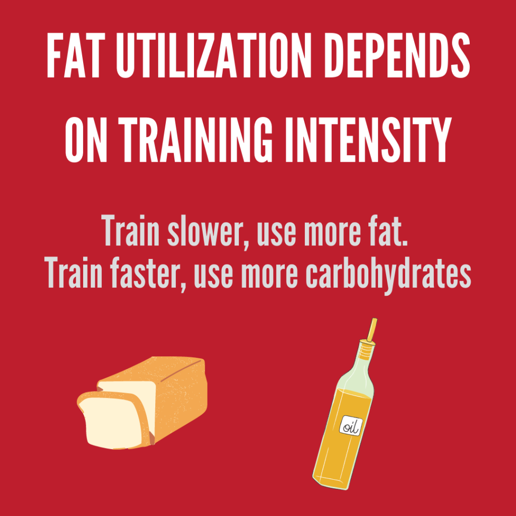 fat utilization depends on training intensity