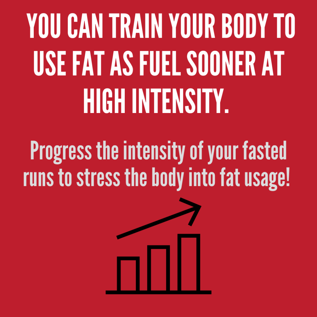 you can train your body ti use fat as fuel sooner at high intensity